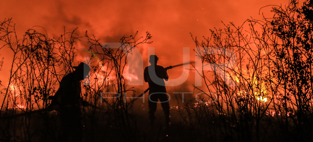 A peatland fire occurred on the side of the Palembang-Inderalaya toll road on Tuesday, September 12, 2023. 