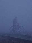 Dense Fog During Cold Winter Morning In Ajmer