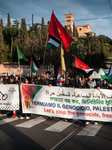 Solidarity Demonstration With Palestine