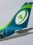 Aer Lingus New Irish Team Livery.