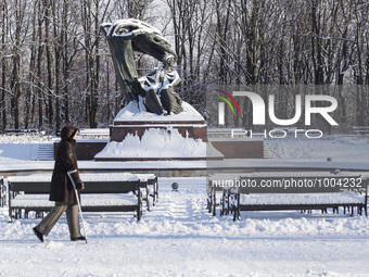 Woman walks past monument of Polish composer and pianist Frederic Chopin covered whith snow in the Lazienki Park in Warsaw, 16 January, 2016...