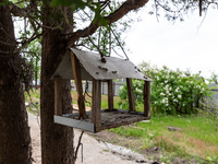 A shot at bird feeder is seen by the school which is reconstructed bu Gurtum foundation after the building was damaged by at least 3 bombs i...