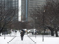 Snow falls in Tokyo early Monday morning for the first time this winter, Jan.18,2016, Tokyo, Japan. Snow fell in parts of eastern and northe...