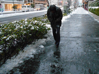 Snow falls in Shinjyuku early Monday morning for the first time this winter, Jan.18,2016, Most of the Kanto area were awakened to the first...