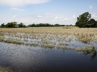 A general view of flooded fields and the flood damage in Emilia Romagna on May 26, 2023 in Conselice, Italy (