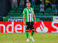 Joaquin Sanchez of Real Betis excited after receiving the songs of the fans during the LaLiga Santander match between Real Betis and Valenci...