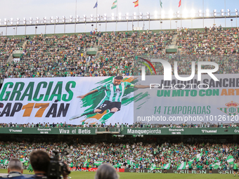 Tifo of the fans of Real Betis in honor of its captain, Joaquin Sanchez during the LaLiga Santander match between Real Betis and Valencia CF...