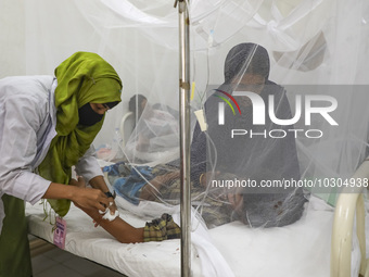 A dengue-infected patient receives treatment staying under mosquito nets in the Shaheed Suhrawardy Medical College and Hospital in Dhaka, Ba...