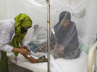 A dengue-infected patient receives treatment staying under mosquito nets in the Shaheed Suhrawardy Medical College and Hospital in Dhaka, Ba...