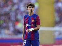 Joao Felix second striker of Barcelona and Portugal in action during the LaLiga EA Sports match between FC Barcelona and Celta Vigo at Estad...