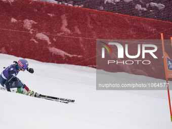 Curtoni Elena -ITA-AUDI FIS SKI WORLD CUP-
La Thuile-Valle D'Aosta
8th Ladies' downhill- 
on February , 2016. (