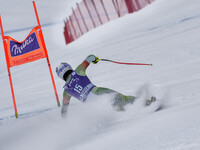 AUDI FIS SKI WORLD CUP-
La Thuile-Valle D'Aosta
8th Ladies' downhill- 
on February , 2016.Miklos Edit -HUN- (