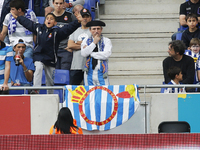 RCD Espanyol supporter in the match between RCD Espanyol and Osasuna, for Week 37 of the spanish Liga BBVA played at the Camp Nou, May 11, 2...