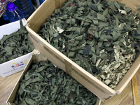 Volunteers at the Combat Toloka Volunteer Centre in Kriukivshchyna, Kyiv Region, northern Ukraine, are sorting scraps for camouflage nets in...