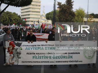 Participants during a nationwide Peace and March in support of Palestine in the capital Nicosia. Cyprus, Sunday, December 3, 2023. After a s...