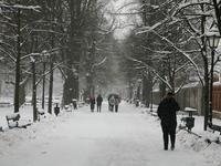 Snow is covering the city streets in Krakow, Poland, on December 2, 2023. (