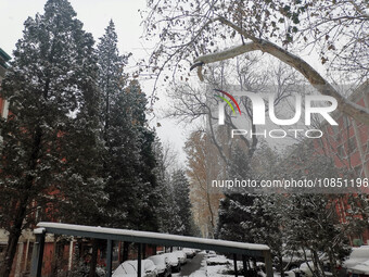 Snow is falling in Beijing, China, on December 13, 2023. (
