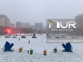 Snowflakes are falling in Korla, Xinjiang Province, China, on the early morning of December 14, 2023. (
