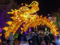 Tourists are attending the first Baima Lake Lantern Fair in Huai'an, China, on February 12, 2024. At the same event, traditional lanterns, m...