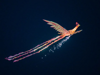 Tourists are watching a remote-controlled performance of the Double Phoenix Flying Performance, which is equipped with a power unit, being r...