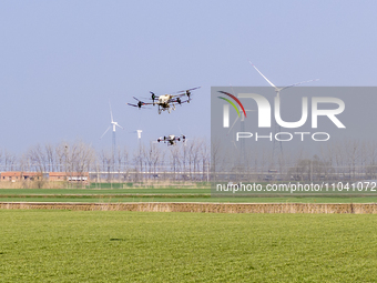 Agricultural technicians are operating two plant protection drones to fertilize a wheat field in Tianganghu Township, Suqian City, Jiangsu P...