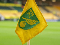 A general view of a Norwich City FC corner flag is seen during the Sky Bet Championship match between Norwich City and Sunderland at Carrow...