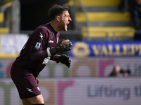 Michele Cerofolini of Frosinone Calcio is playing during the 27th day of the Serie A Championship between Frosinone Calcio and U.S. Lecce at...