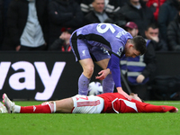 Andrew Robertson of Liverpool is checking on Neco Williams of Nottingham Forest after committing a foul during the Premier League match betw...