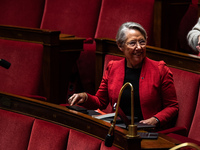 Elisabeth Borne, the former Prime Minister and member of the Renaissance majority group in Parliament, is participating in the discussion of...