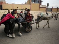 Displaced Palestinians are fleeing from the area near Gaza City's al-Shifa hospital and are riding on a donkey-drawn cart as they arrive at...