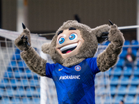 The official mascot of FC Andorra, Tamarro, is performing during the LaLiga Hypermotion 2023 - 2024 match between FC Andorra and SD Amorebie...