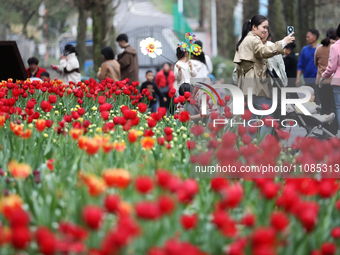 Tourists are playing among blooming tulips at Nanling Botanical Garden in Chenzhou, China, on March 16, 2024. (