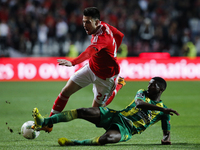 Benfica's forward Pizzi (L) vies for the ball with Tondela's midfielder Helder Tavares (R)  during the Portuguese League football match betw...