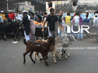 A person is selling goats at a marketplace during the fasting month of Ramadan in Kolkata, India, on March 24, 2024. (
