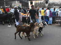 A person is selling goats at a marketplace during the fasting month of Ramadan in Kolkata, India, on March 24, 2024. (