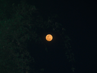 The term ''Worm Moon'' or ''Crow Moon'' refers to March's full moon. The Old Farmer's Almanac, which began publishing the names for the full...