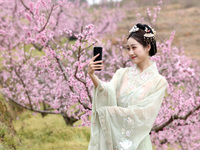A tourist is taking a selfie among blooming peach blossoms in Ningde, China, on March 26, 2024. (