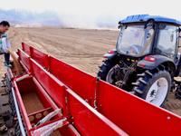 Farmers are adding wheat seeds to an integrated seeding machine pulled by a Beidou Navigation automatic driving tractor at the wheat plantin...