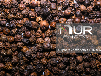 Black pepper (Piper nigrum) is the world's most traded spice, often referred to as the ''king of spices.'' It is a flowering vine that belon...