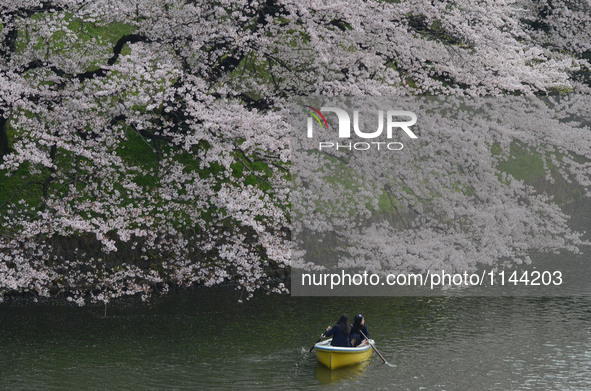 Visitors ride a boat in the Chidorigafuchi moat covered with petals of cherry blossoms in Tokyo, Japan April 6, 2016. 