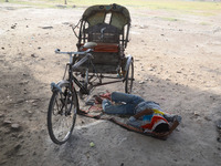 An indian rickshaw puller rests under the shed of a tree as he protects his  face from heatwave and scorching sun heat, during a hot day, in...