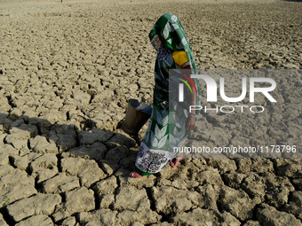 An indian woman walks on a dried and cracked water pond as she carries bucket to take drinking water , in Kaushambi , nearly 25 kms from All...