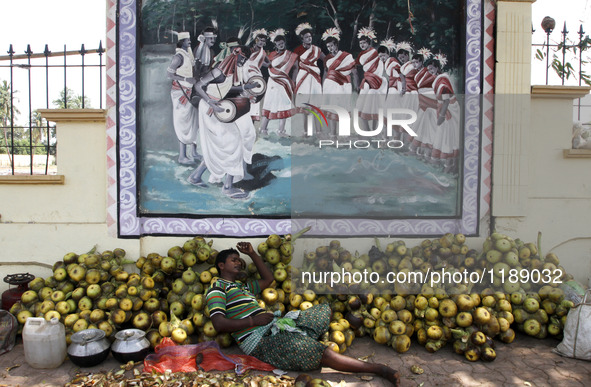 A villager sleeps near to his ice-apple fruits as he waits for customers to sale it on way side in the eastern Indian city Bhubaneswar, Indi...