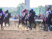 Racehorse Tonalist, ridden by jockey Joel Rosario, wins the 146th running of the Belmont Stakes, at Belmont Park in Elmont, NY, June 7, 2014...