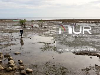 Hindang Leyte, Philippines - Residents search for seashells during lowtide in Hindang, Leyte on June 12, 2013. On November 8, 2013, Haiyan,...