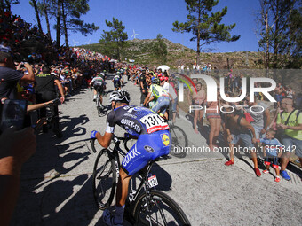 Gianluca Brambilla (131) / Etixx - Quick Step Team - Alberto Contador (11) / Tinkoff Team during 71st La Vuelta España 2016 / Stage 3: Marín...