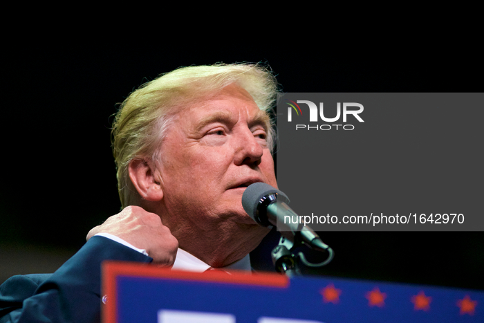 Republican presidential candidate Donald Trump rallies at the Giant Center in Hershey,  in Central Pennsylvania, on Fri. Nov. 4, 2016.  (Pho...