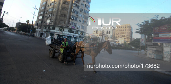Palestinian driving a garbage collecting horse-drawn cart in the center of Gaza City, on July 10, 2014, due to the status of each blank thro...