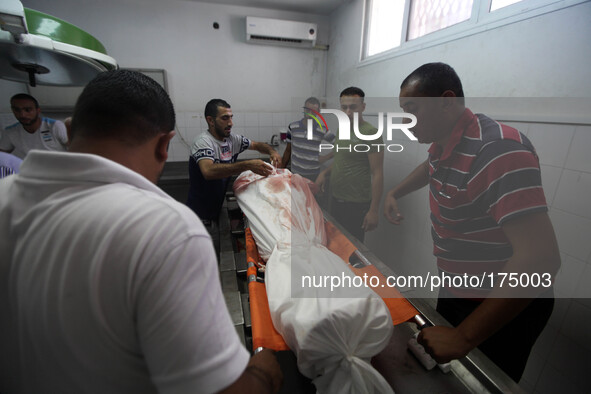 Photos from inside the Shifa Hospital for the martyrs were killed in the Shojae'ya east of Gaza City, on July 12, 2014. 