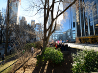 Small group of bystanders and protestors found a spot in Central Park, directly near the entrance of Trump International Hotel and Tower, as...
